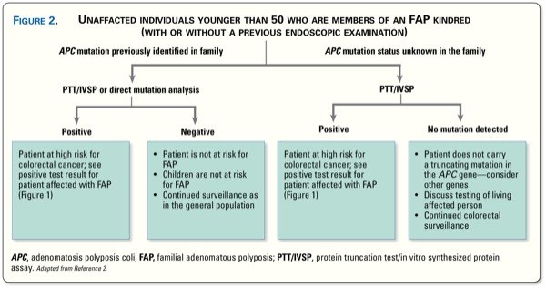Ptt Test