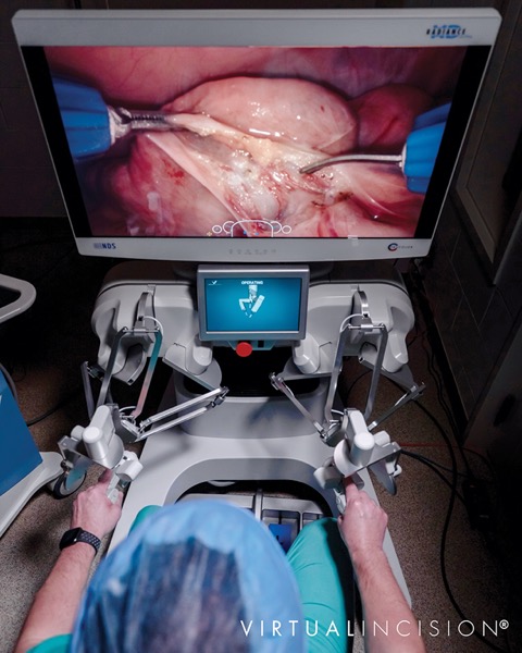 GSN0121 008b 5533 600