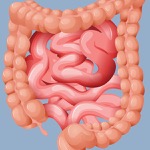 Controversies in Colon and Rectal Surgery 2024